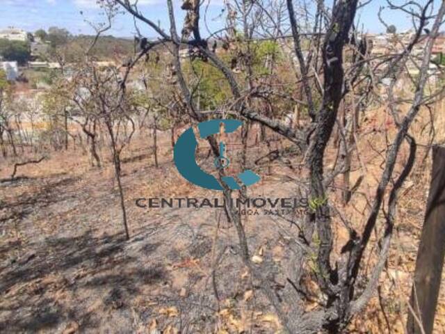 Terreno para Venda em Lagoa Santa - 5