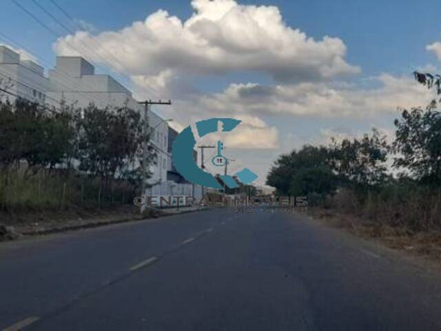 Terreno para Venda em Lagoa Santa - 2