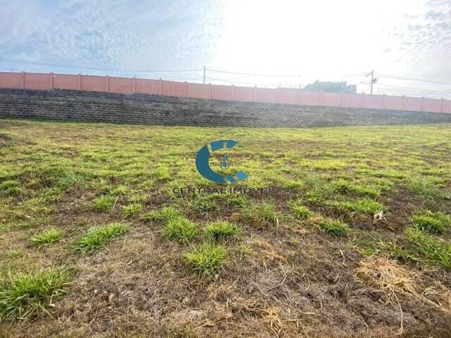 #TE0398 - Terreno para Venda em Vespasiano - MG - 2