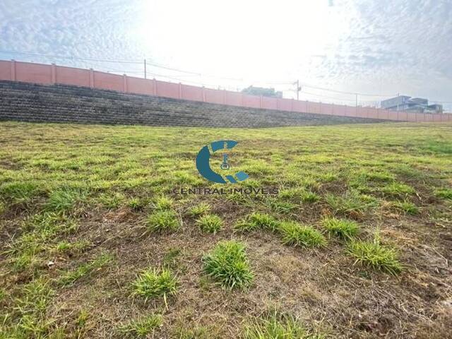 Terreno para Venda em Vespasiano - 5