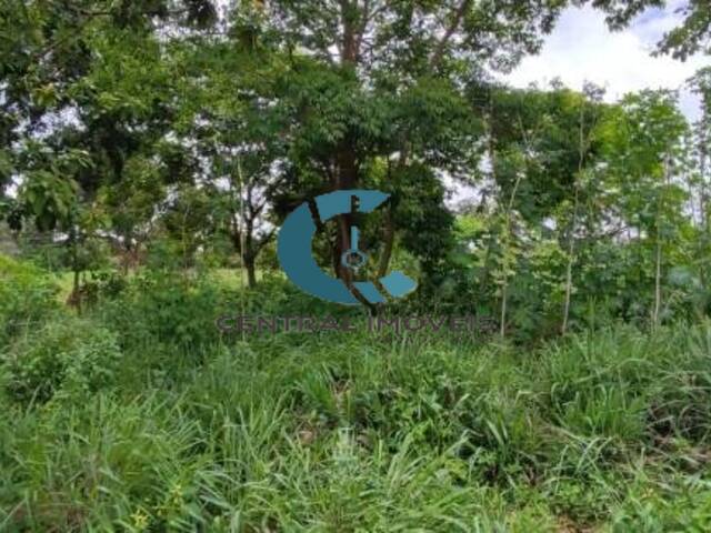 Terreno para Venda em Lagoa Santa - 2