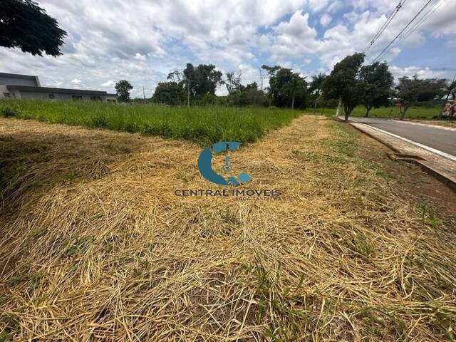 #TE0475 - Área para Venda em Lagoa Santa - MG - 1