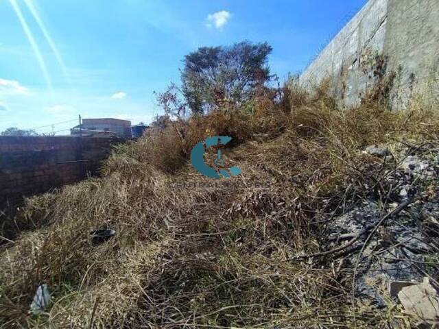 Terreno para Venda em Lagoa Santa - 2