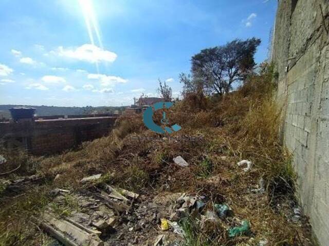 Terreno para Venda em Lagoa Santa - 3