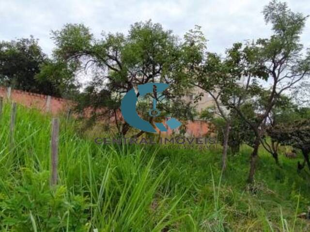 Terreno para Venda em Lagoa Santa - 3