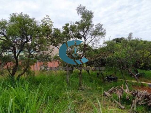 Terreno para Venda em Lagoa Santa - 4