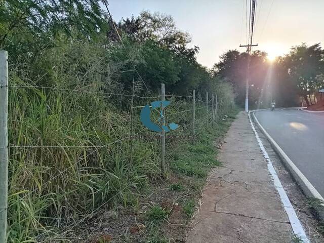 Terreno para Venda em Lagoa Santa - 4