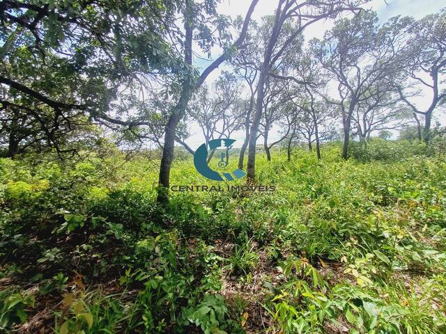 Área para Venda em Lagoa Santa - 4