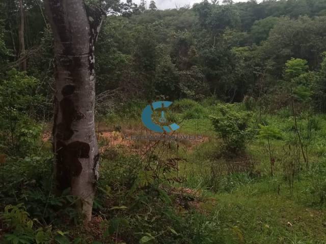 #1829 - Chácara para Venda em Jaboticatubas - MG - 3