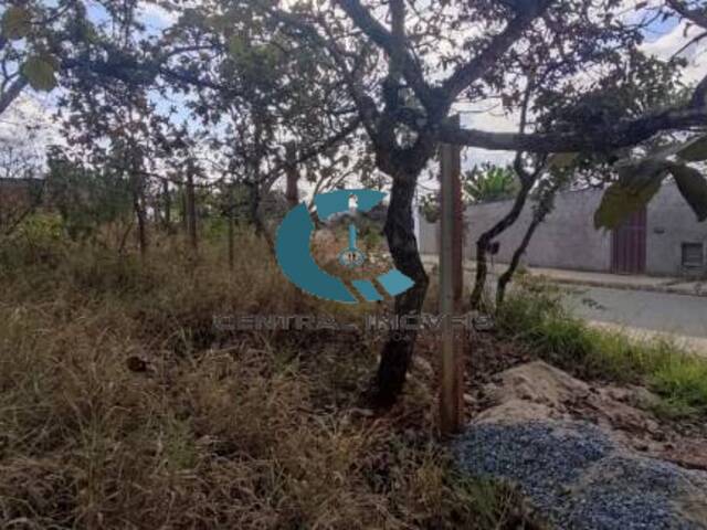 #TE0629 - Terreno para Venda em Lagoa Santa - MG - 3