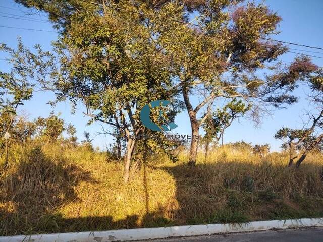 Terreno para Venda em Lagoa Santa - 4