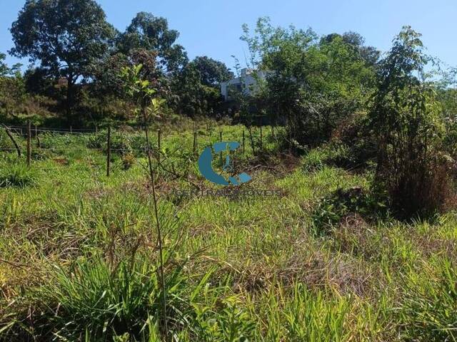 #145 - Terreno para Venda em Lagoa Santa - MG - 3
