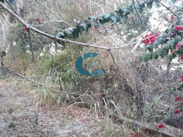 Terreno para Venda em Lagoa Santa - 2