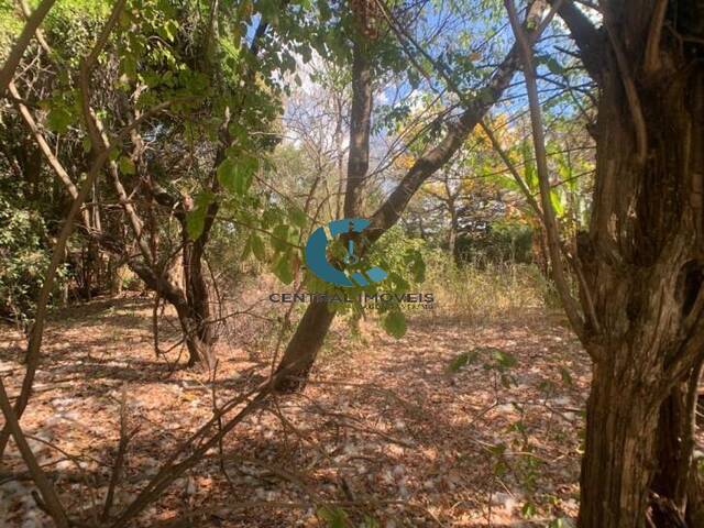 Terreno para Venda em Lagoa Santa - 2