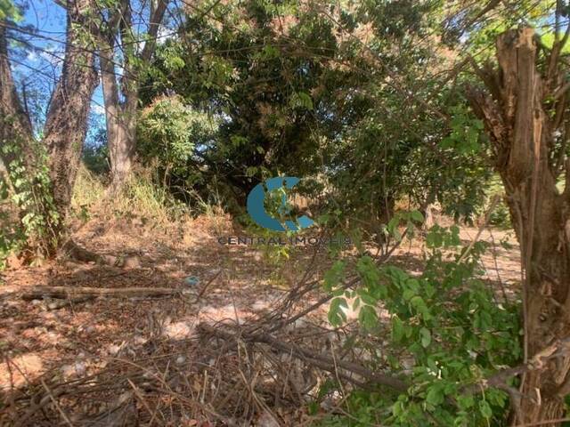 Terreno para Venda em Lagoa Santa - 3