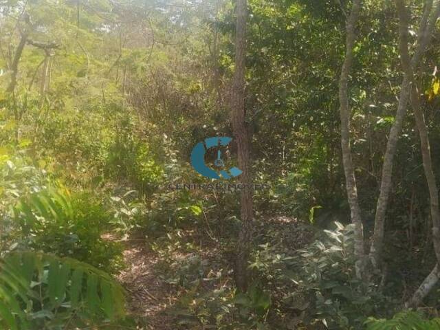 #TE0139 - Terreno para Venda em Jaboticatubas - MG - 2