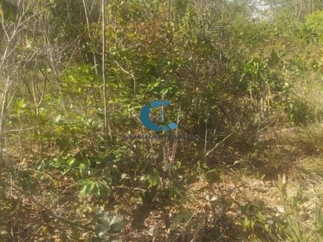 #TE0139 - Terreno para Venda em Jaboticatubas - MG - 3