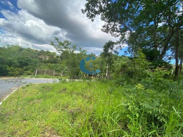 Terreno para Venda em Lagoa Santa - 2