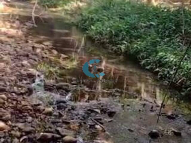 #FA0001 - Fazenda para Venda em Santana de Pirapama - MG - 3