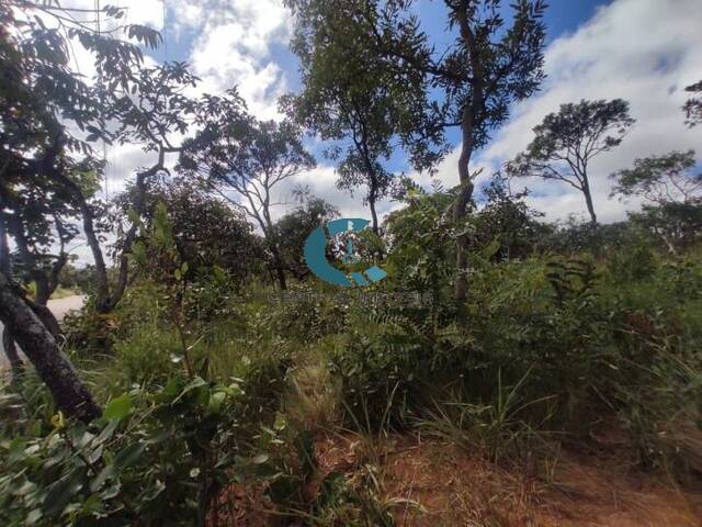 Terreno para Venda em Lagoa Santa - 5