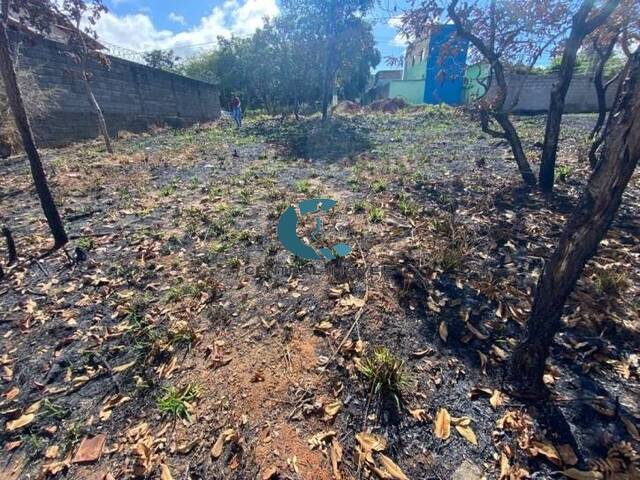 Terreno para Venda em Lagoa Santa - 4