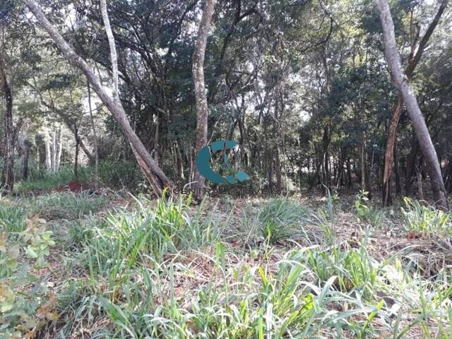 Terreno para Venda em Lagoa Santa - 5