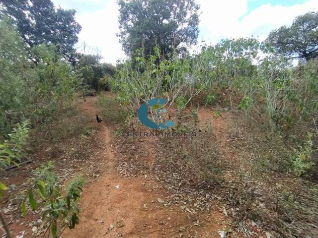 Terreno para Venda em Lagoa Santa - 4