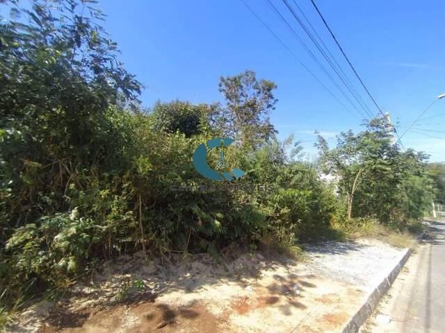 Terreno para Venda em Lagoa Santa - 2