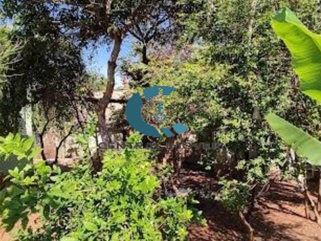 Casa para Venda em Lagoa Santa - 4