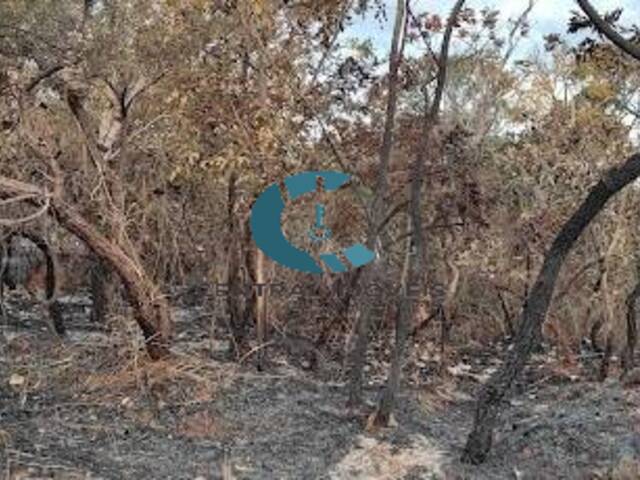 Terreno para Venda em Lagoa Santa - 4