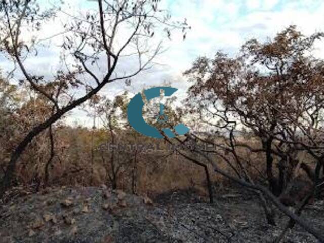 Terreno para Venda em Lagoa Santa - 5