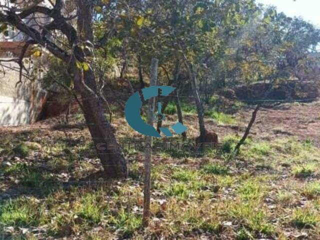 Terreno para Venda em Lagoa Santa - 2